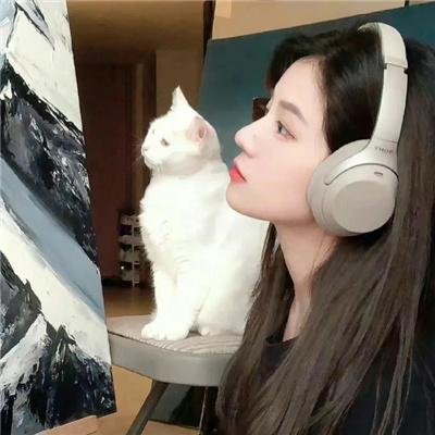 夫仇记